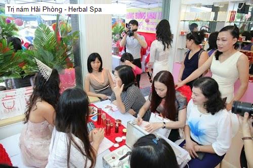 Bảng giá Trị nám Hải Phòng - Herbal Spa