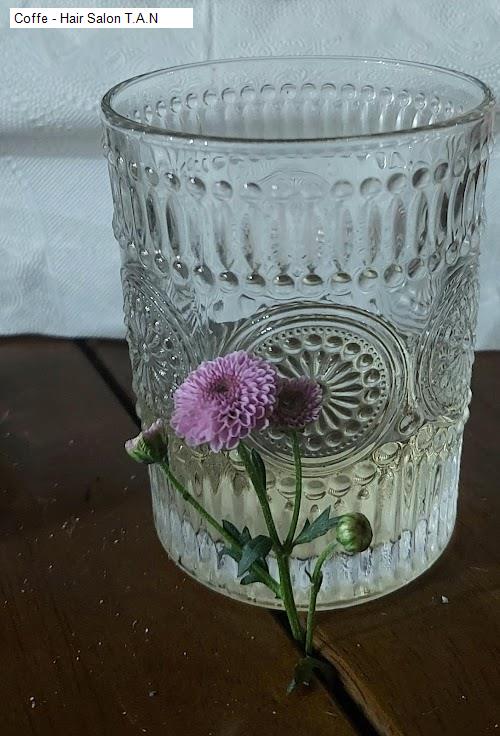 Hình ảnh Coffe - Hair Salon T.A.N